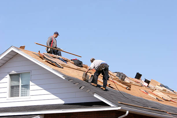 Best Tile Roofing Installation  in Luna Pier, MI